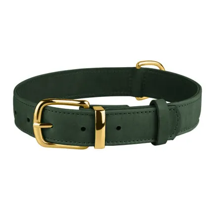Нашийник для собак шкіряний BronzeDog Crazy зелений XS