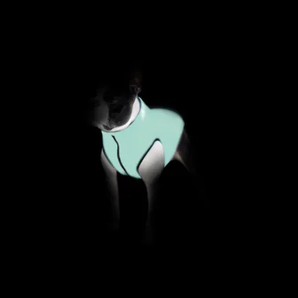 Курточка для собак AiryVest Lumi двостороння, світиться в темряві, розмір XS 22, салатово-голуба — Фото 3