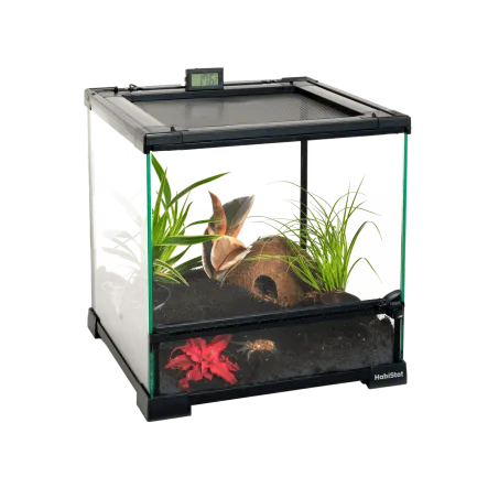 Тераріум HABISTAT GLASS TERRARIUM 30 X 30 X 32CM BUILT (R1100055) — Фото 3