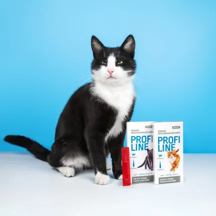 Краплі Provet Profiline для котів 4-8 кг, 4 піпетки по 1,0 мл (інсектоакарицид) — Фото 4