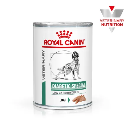 Дієтичний вологий корм Royal Canin DIABETIC DOG (паштет) для собак 410 г — Фото 1