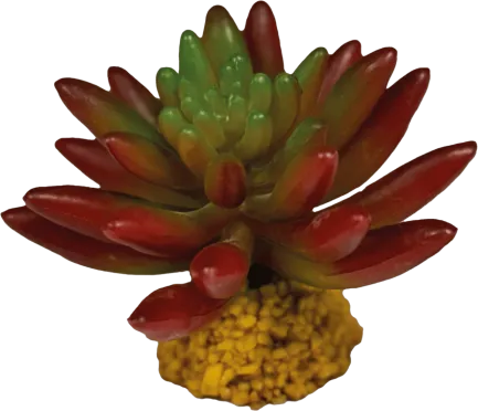 REPTO PLANT SUCCULENT RED (R5100550) Штучна рослина для тераріума
