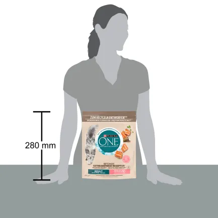 Сухий корм PURINA ONE Grain Free (Грейн Фрі) беззерновий для дорослих котів комплекс Bifensis з лососем 600 г — Фото 3
