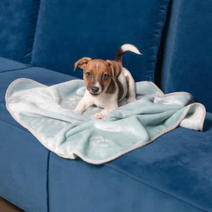 Плед Pet Fashion «Bliss» для собак та цуценят, 77х100 см, м'ята — Фото 5