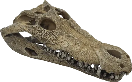 Декорація для акваріума REPTO DECO CROCODILE L (R5100360) — Фото 1