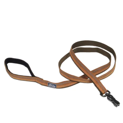 Coastal K9 Explorer Leash КОСТАЛ К9 ЕКСПЛОРЕР світловідбивний повідець для собак, 2.5смХ1.8м Полум’я