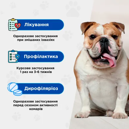 Квадромідас протипаразитарні таблетки для собак 32-64 кг, 3,2 г, MODES (від бліх, кліщів, гельмінтів) — Фото 3