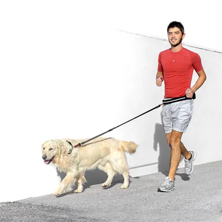 Ferplast ERGOCOMFORT FREE TIME Пояс світловідбиваючий+поводок — Фото 1