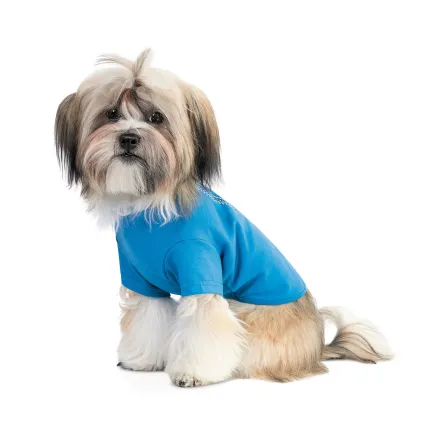 Футболка Pet Fashion «Ivanko» для собак, розмір S2, синя — Фото 1