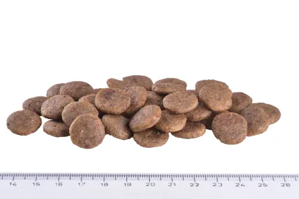 Сухий корм Brit GF VetDiet Dog Struvite для собак, при сечокаменній хворобі, з яйцем, індичкою, горохом і гречкою, 12 кг — Фото 3