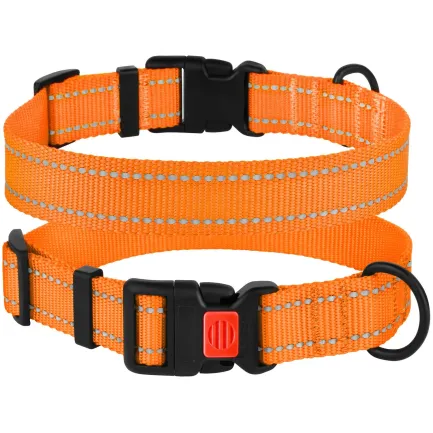 Нашийник для Собак BronzeDog Active Нейлоновий зі Світловідбиттям та Пластиковою Пряжкою Помаранчевий L