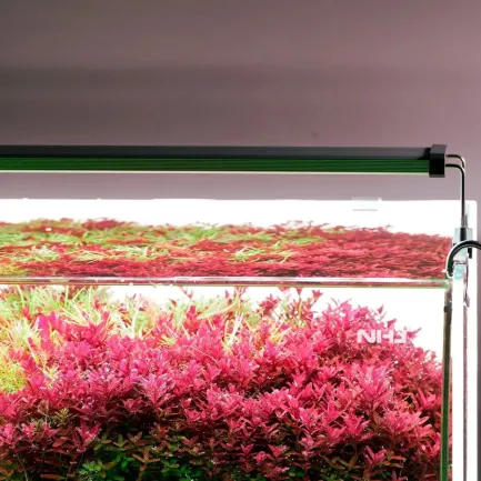 Світильник Chihiros B-Series B20 LED 20-30 см розумне RGB-освітлення для акваріума — Фото 7