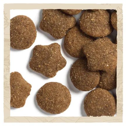 Сухий корм DOG CHOW Large Breed Puppy <2 для цуценят з індичкою 14 кг — Фото 8