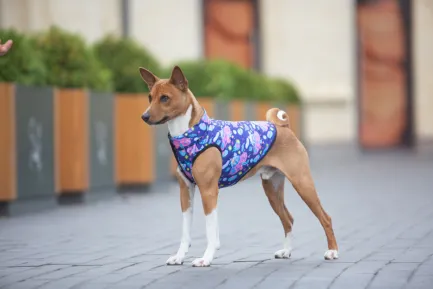 Курточка для собак WAUDOG Clothes малюнок "Рік та Морті 1", M50, В 76-79 см, С 55-61 см — Фото 2