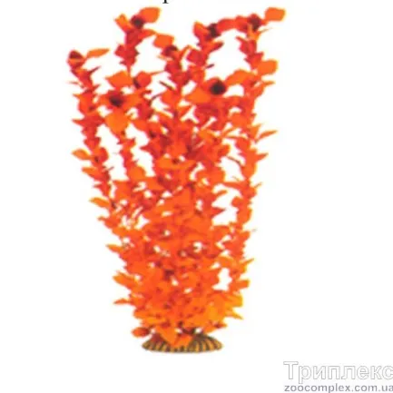 Aquatic Plants (Акватик Плэнтс) Акваріумна рослина, 46 см х 6 шт/уп.