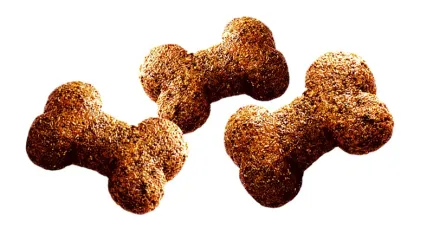 Ласощі для собак Brit Care Dog Crunchy Cracker Insects для травлення, комахи, ягня і малина, 200 г — Фото 1