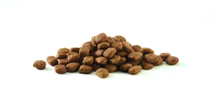 Сухий корм PURINA ONE Sensitive для дорослих котів із чутливою системою травлення комплекс Bifensis з індичкою 800 г — Фото 5
