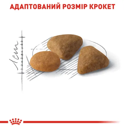 Сухий корм Royal Canin EXIGENT SAVOUR для котів всіх порід 4 кг — Фото 4