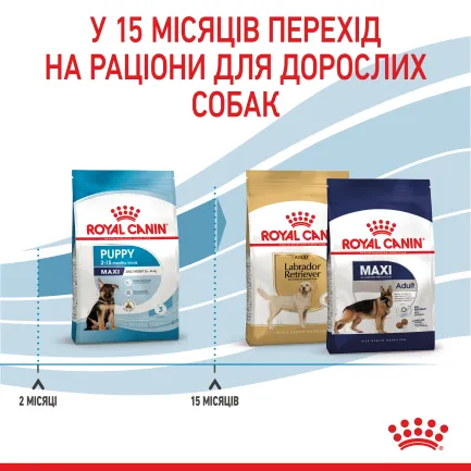 Сухий корм Royal Canin MAXI PUPPY для цуценят великих порід 4 кг — Фото 5