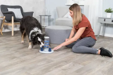 Іграшка Trixie Dog Activity Gambling Tower Башта для собак, інтерактивна розвиваюча, 25/33 см (пластик) — Фото 4