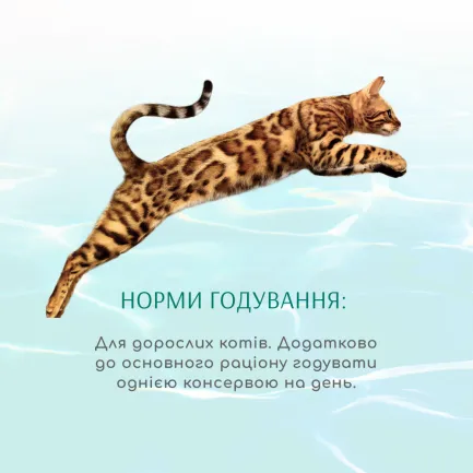 OPTIMEAL™. Б`ЮТІ ФІТНЕС. Консерв корм д/котів “Смугастий тунець у соусі з креветками",0,07 кг — Фото 3