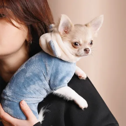 Костюм Pet Fashion «Alf» для собак, розмір XXS, джинс — Фото 2