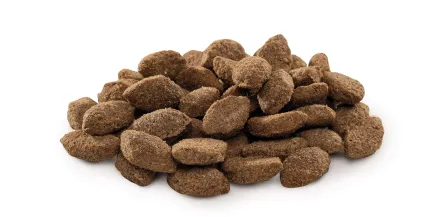 Сухий корм Brit Premium Dog Light для собак із зайвою вагою, з індичкою, 15 кг — Фото 1