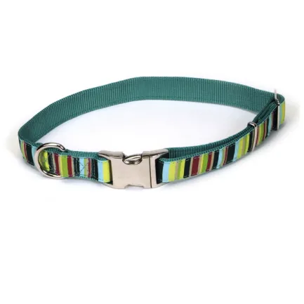 Coastal Pet Attire Ribbon КОСТАЛ РІББОН нашийник для собак, 2.5х46-66см Мультиколор