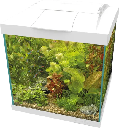 Акваріумний комплект - SF START QUBE 30 KIT WHITE (A4052355)