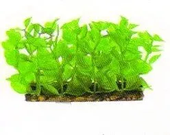 Aquatic Plants (Акватик Плэнтс) Акваріумна рослина, (6х3х6 см) х 6 шт/уп.