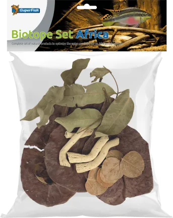 Листя катаппи BIOTOPE SET AFRICA (A4080450)