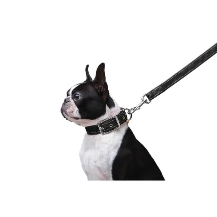 Повідець "Dog Extreme" з нейлону подвійний (ширина 20мм, довжина 122см), чорний — Фото 3