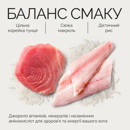 Корм вологий Savory Tuna Fillets rich in Mackerel in Jelly for Adult Cats філе тунця з макреллю в желе для дорослих котів, 70 г — Фото 4