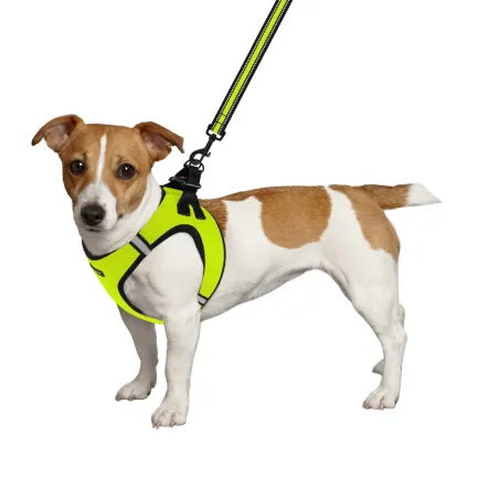 Шлея для собак Bronzedog Mesh Vest 3D сітка лимонна 2XS — Фото 3