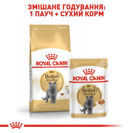 Сухий корм Royal Canin BRITISH SHORTHAIR ADULT для котів породи Британська короткошерста кішка 0,4 кг — Фото 4