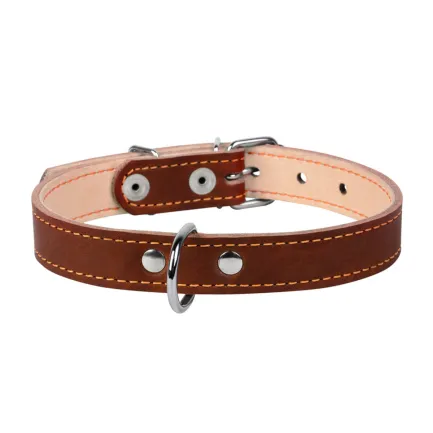 Нашийник "CoLLaR" подвійний (ширина 20мм, довжина 32-40см) коричневий — Фото 1
