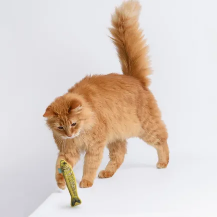 Іграшка для Котів Barksi Рибки Шпроти з котячою м'ятою та дзвіночком - — Фото 6