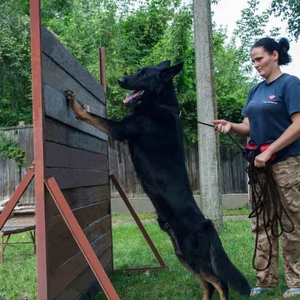 Повідець для Собак Bronzedog Active зі Шнура Тренувальний Чорний L — Фото 8