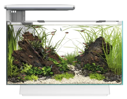 Акваріум скляний - Superfish Quadro 40 Multi Colour WHITE (A4052210) — Фото 1