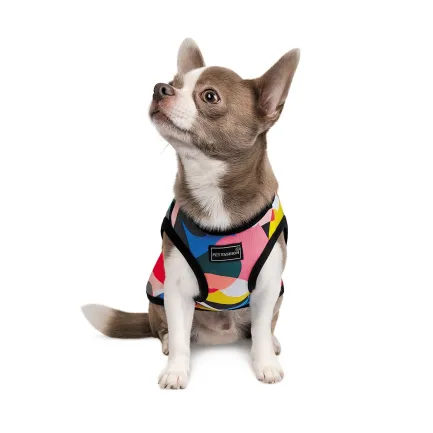 Борцівка Pet Fashion «Cool» для собак, розмір XS, з принтом — Фото 1