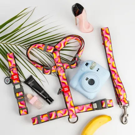 Повідець для собак нейлоновий WAUDOG Nylon, малюнок "Банани на рожевому", L-XXL, Ш 25 мм, Дов 122 см — Фото 1