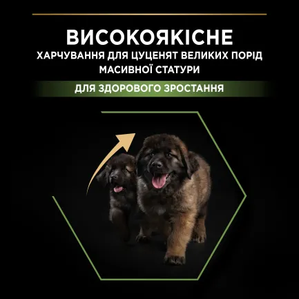 Сухий корм PRO PLAN Large Robust Puppy <2 Healthy Start для цуценят великих порід масивної статури з куркою 12 кг — Фото 4