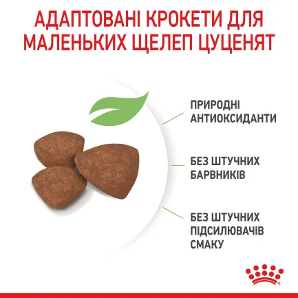 Сухий корм Royal Canin MINI PUPPY для цуценят малих порід 2 кг — Фото 5