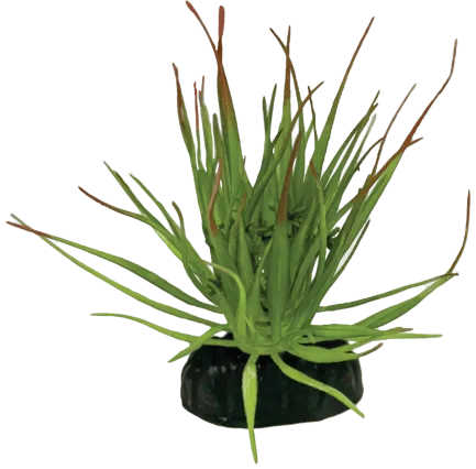 REPTO PLANT TILLANDSIA ION (R5100565) Штучна рослина для тераріума