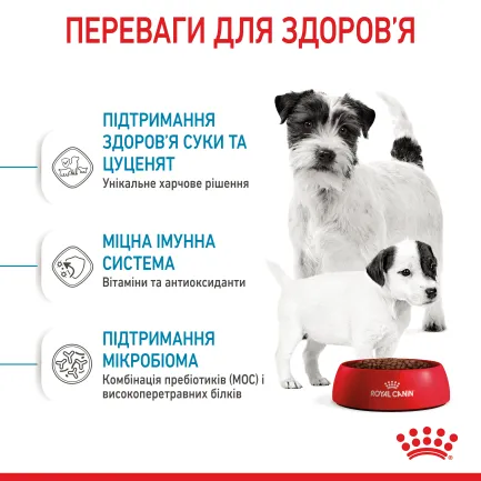 Сухий корм Royal Canin MINI STARTER для дорослих собак малих порід 8 кг — Фото 4