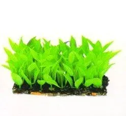 Aquatic Plants (Акватик Плэнтс) Акваріумна рослина, (6х3х4 см) х 6 шт/уп.