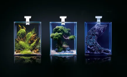 Акваріум Aquael Smart Day &amp; Night для креветок, чорний, 30 л — Фото 3