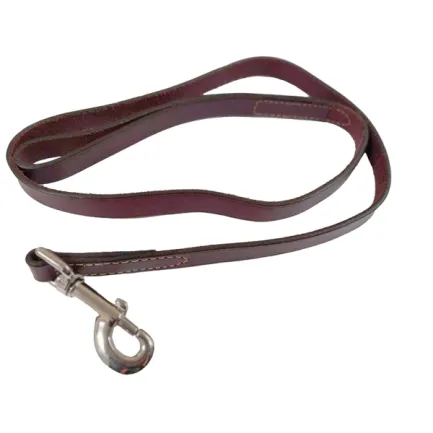 Coastal Circle-T Dog Leash КОСТАЛ СЕРКЛ-Т шкіряний повідець для собак, 2смХ1.2м Коричнево-червоний