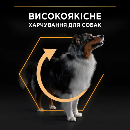 Сухий корм PRO PLAN Medium Adult 1+ Everyday Nutrion для дорослих собак середніх порід з куркою 3 кг — Фото 4