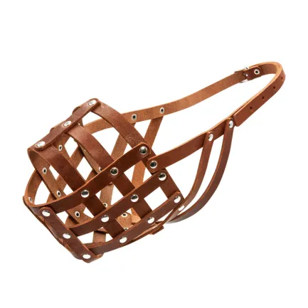 Намордник м'який "CoLLaR" №5 (кавказька вівчарка, московська сторожова, ньюфаундленд) коричневий — Фото 1